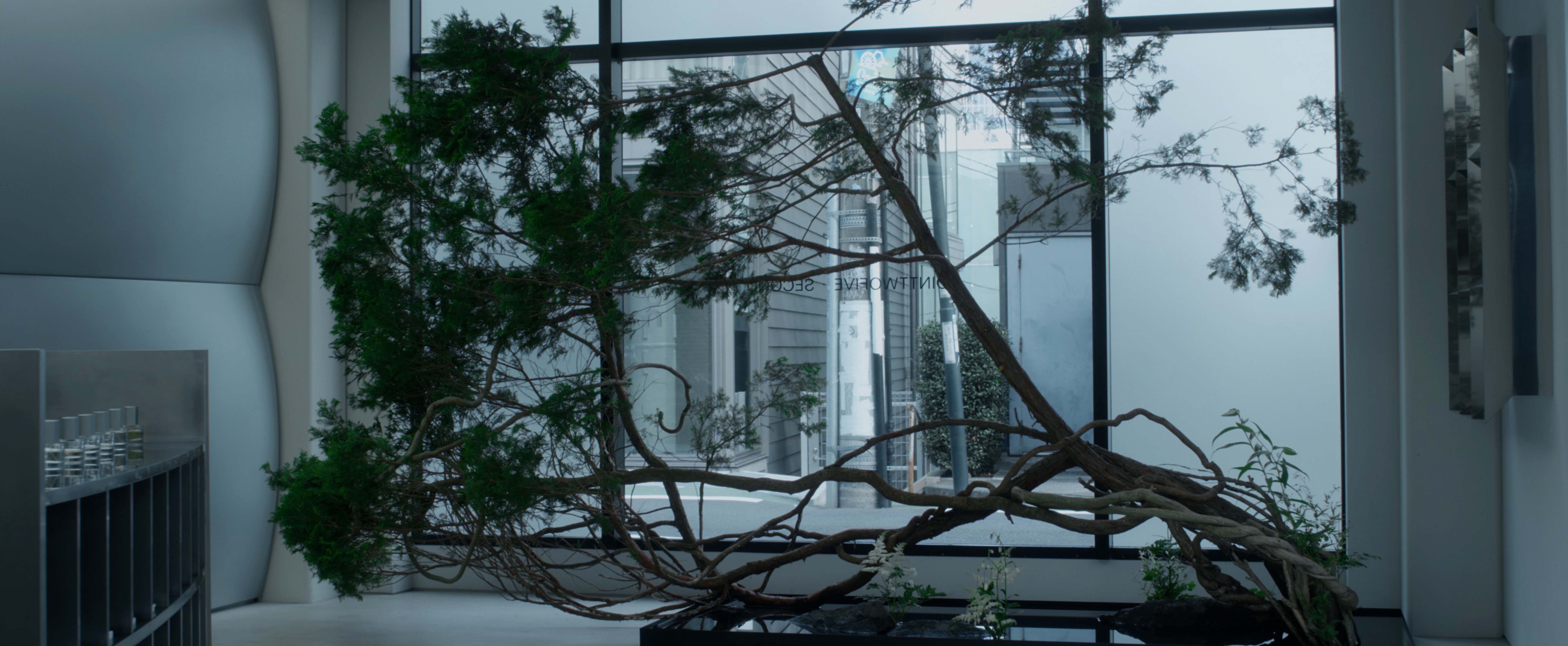 INSTALLATION 『DIALOGUE ― 대화』