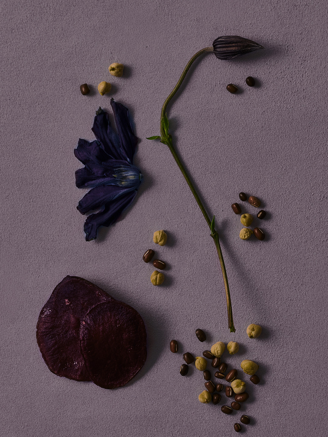 12월 22일 긴 밤 image number 0